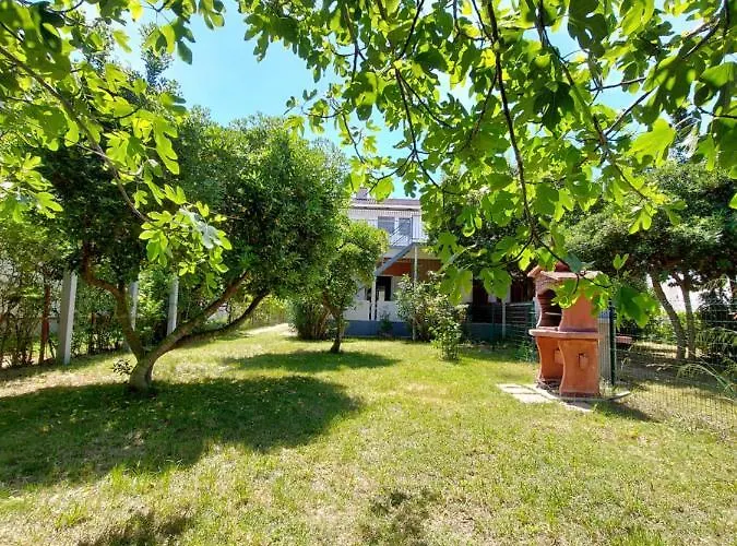 .....und Der Hund Darf Mit