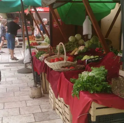 .....und Der Hund Darf Mit * Privlaka (Zadar)