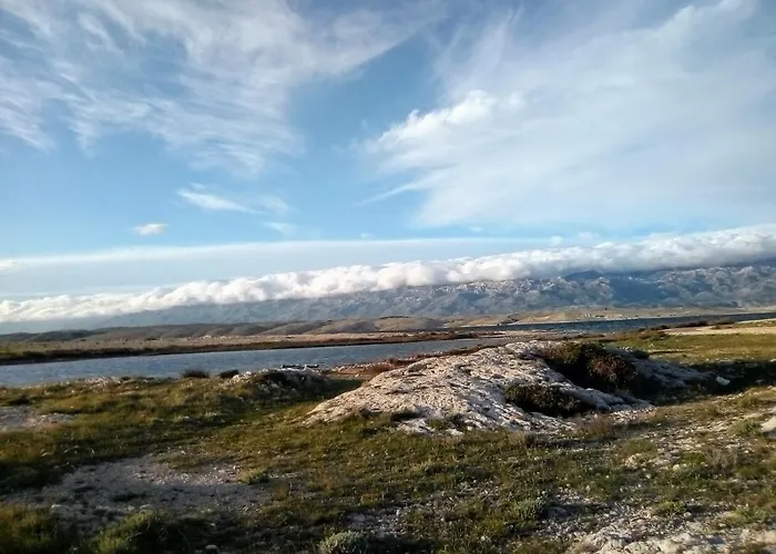 Apartman .....und Der Hund Darf Mit *