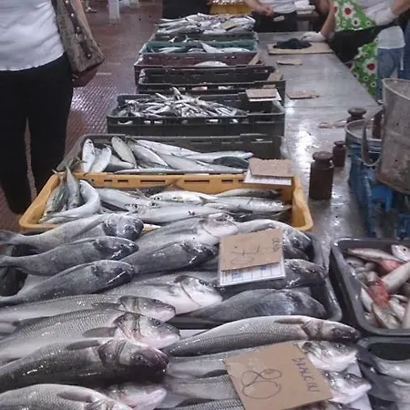 公寓 .....und Der Hund Darf Mit