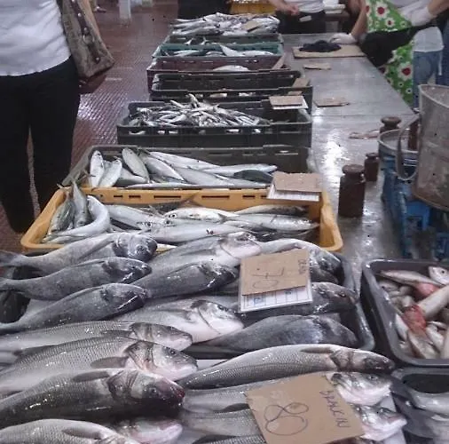 شقة .....und Der Hund Darf Mit