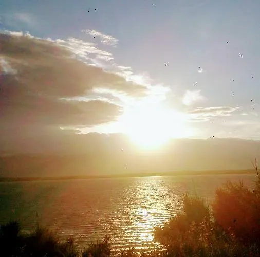 .....und Der Hund Darf Mit * بريفلاكا